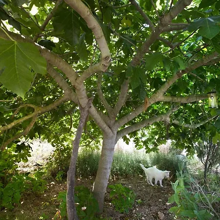 Agroturismo Ca N'escandell